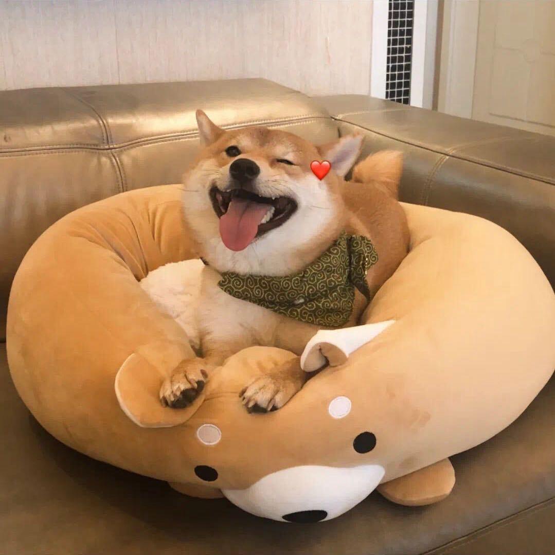 -Oi