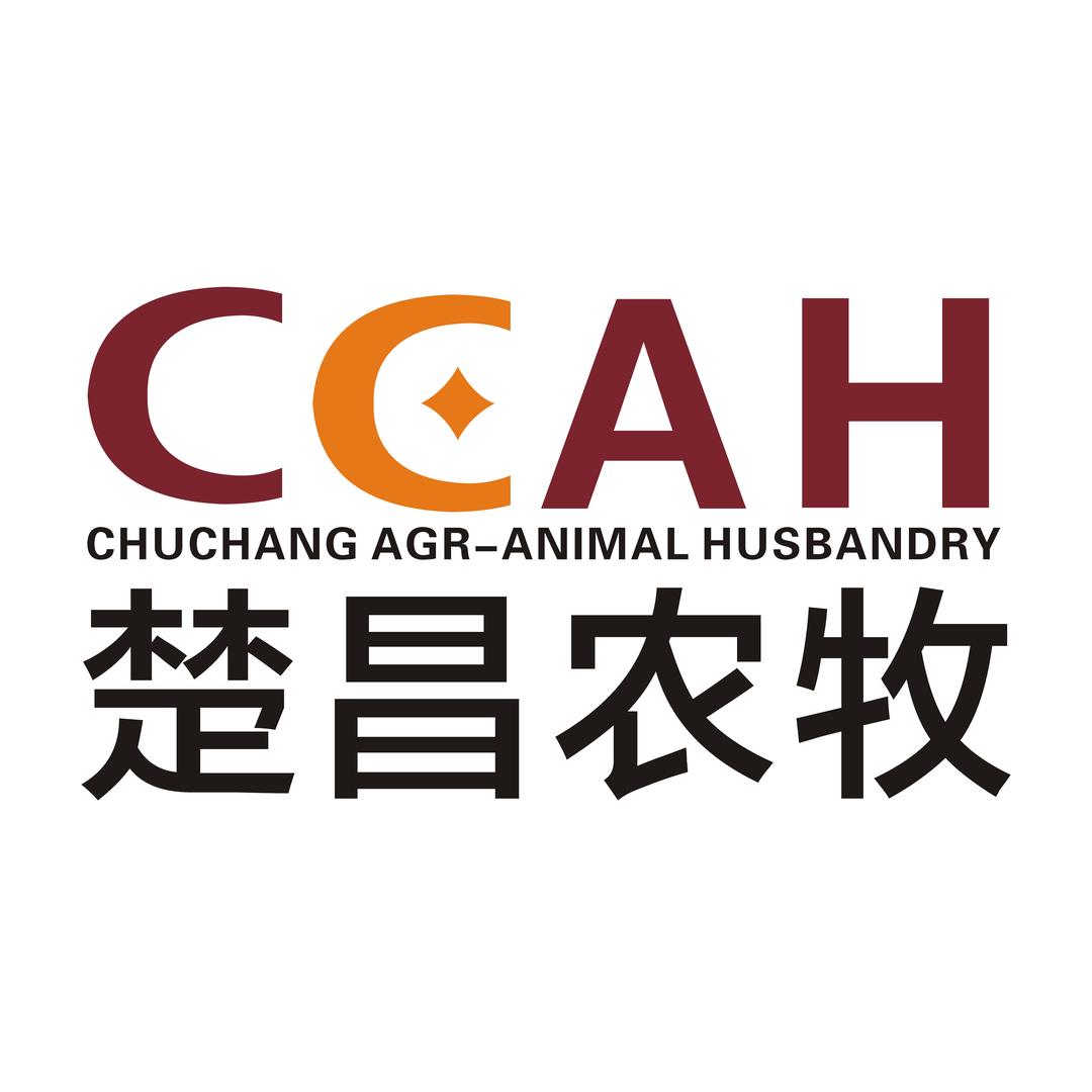 楚昌农牧清真牛肉工厂店西北凉州生鲜牛羊肉