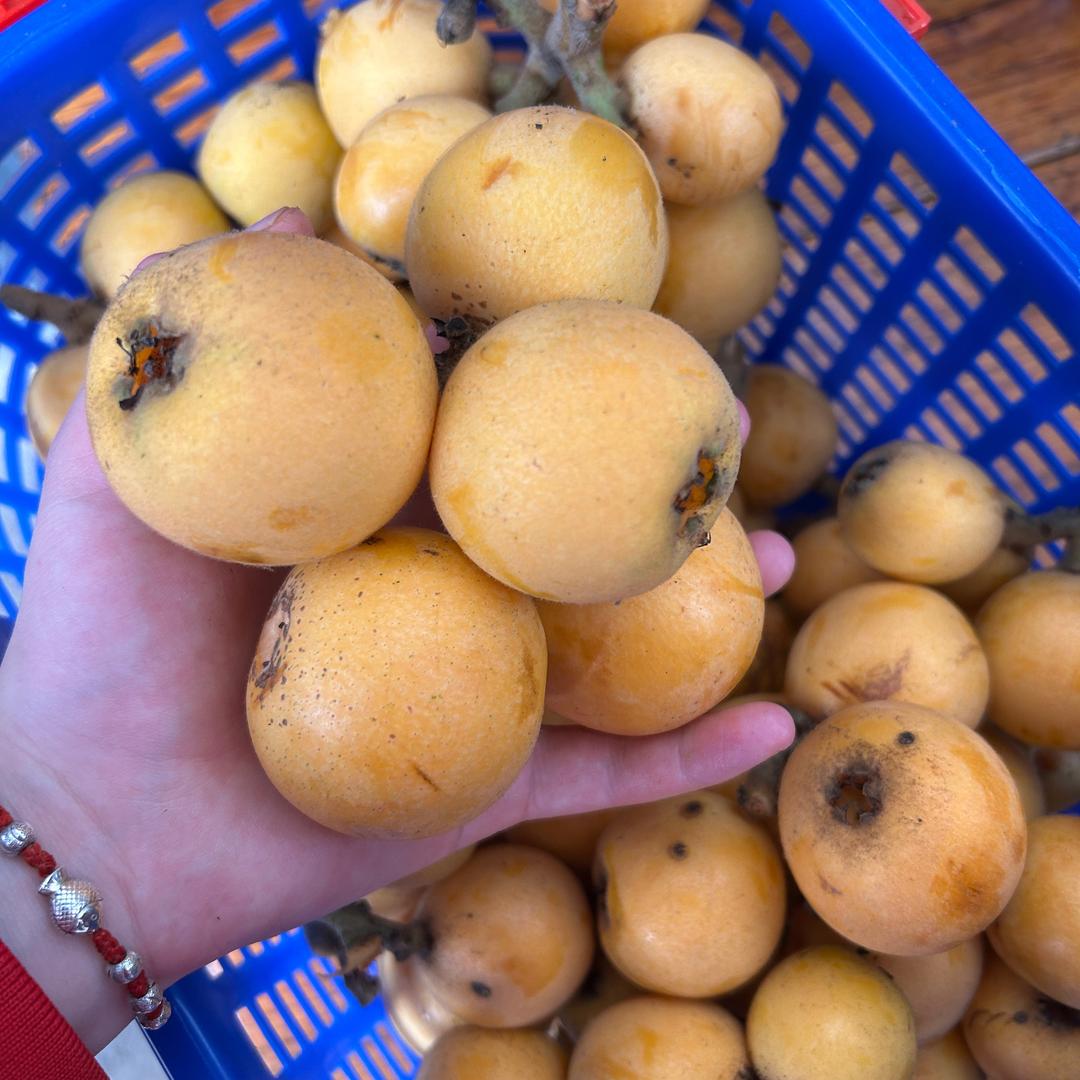 小桃