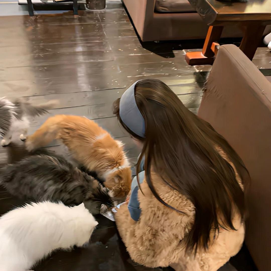 ლ(•̀ _ •́ ლ)