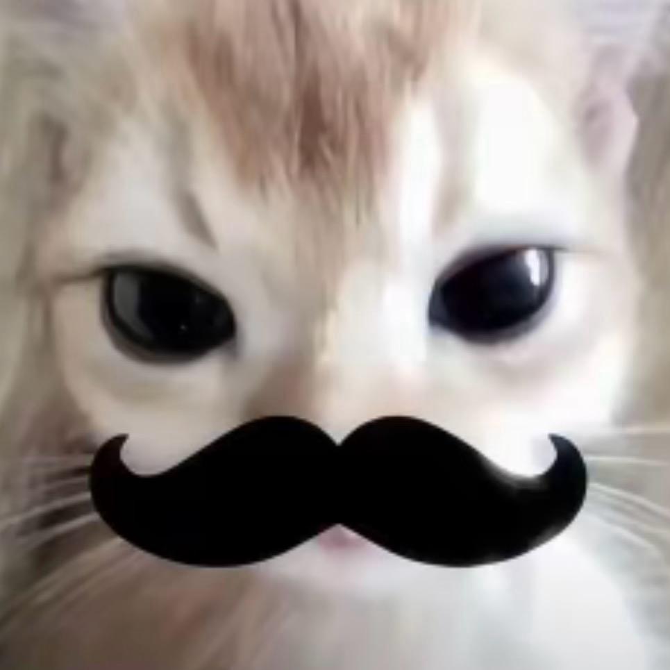 肆叁