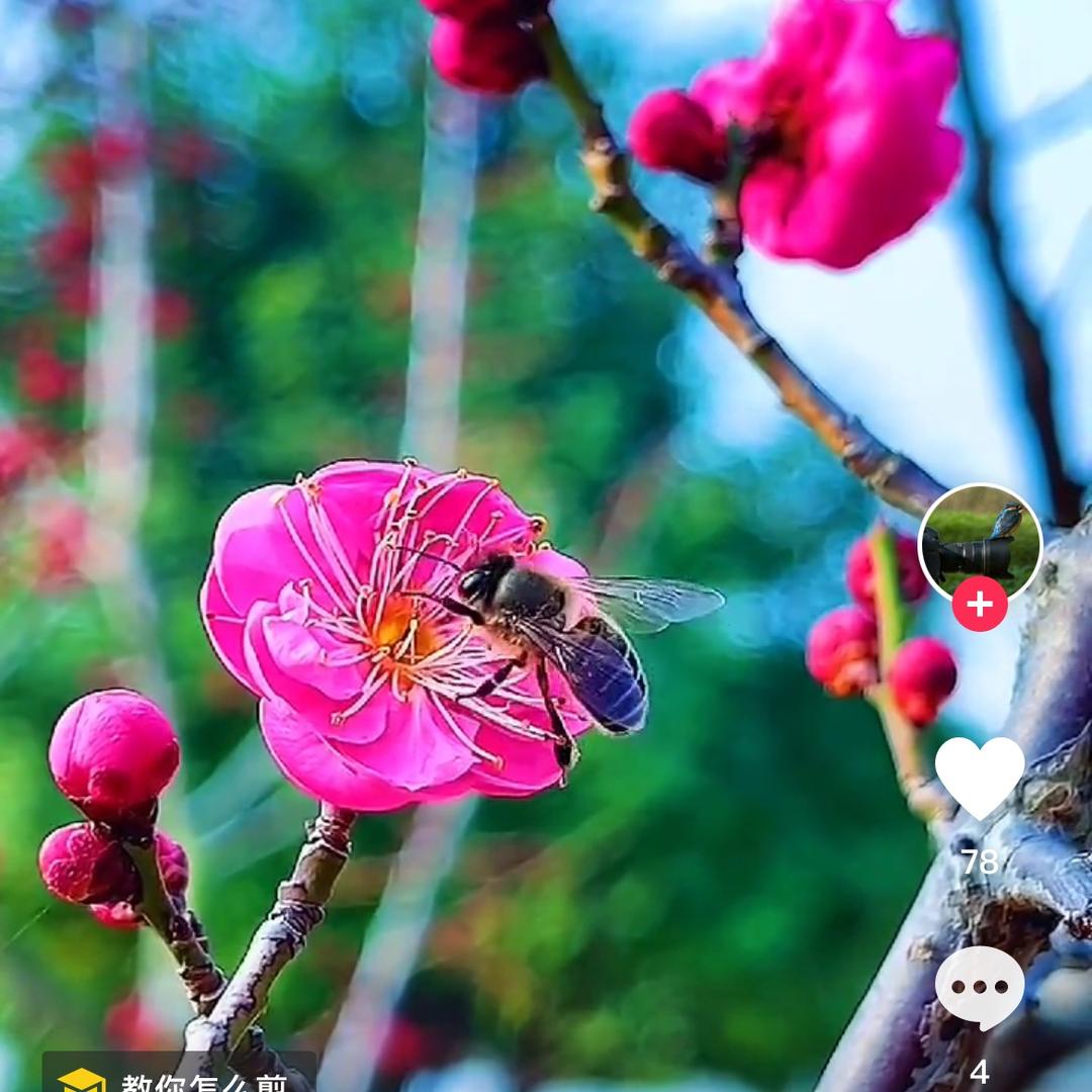 思念