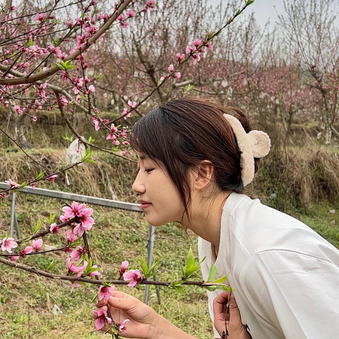 梅子啊