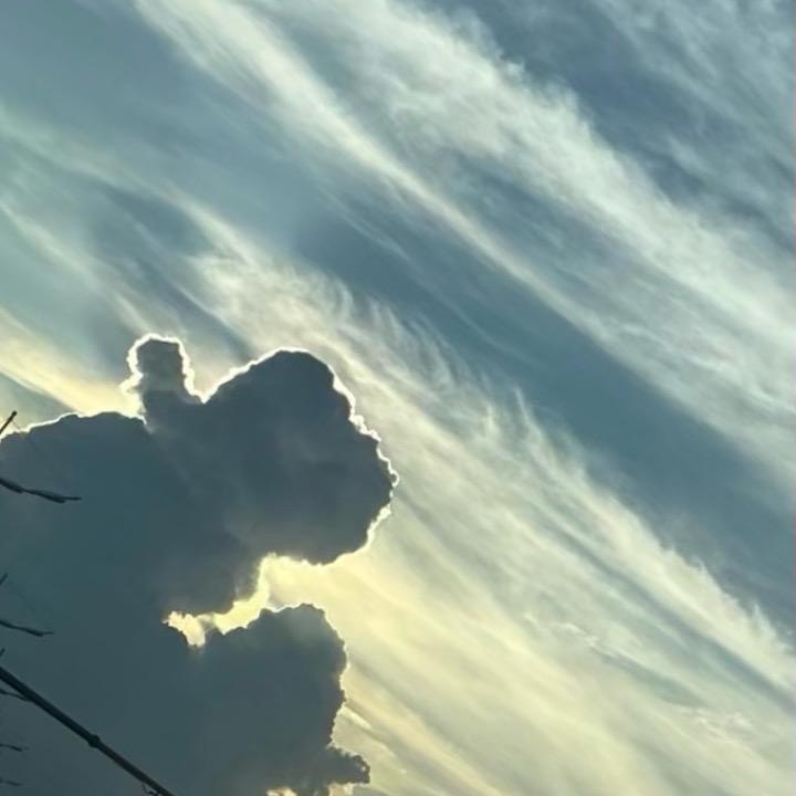 星期七寶寶
