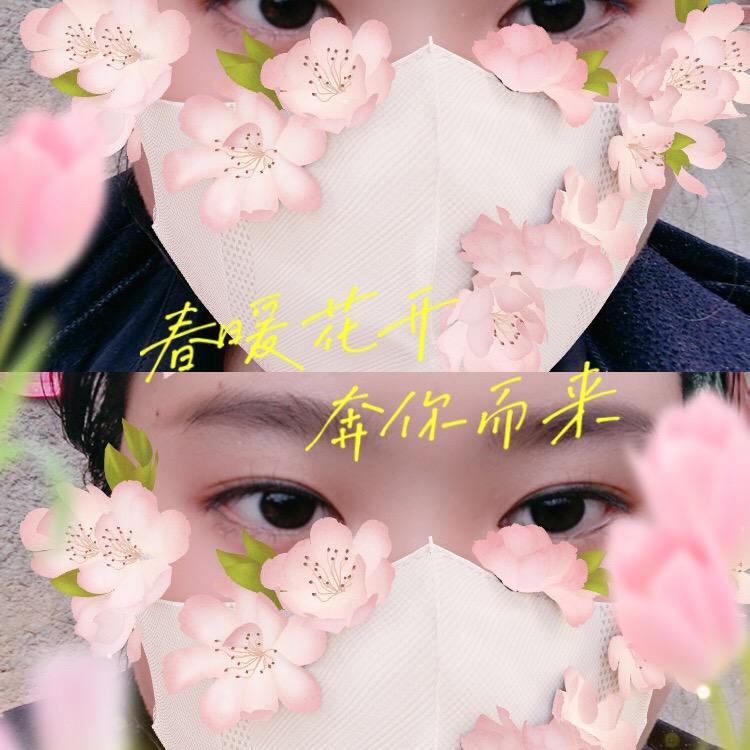 小婉竹