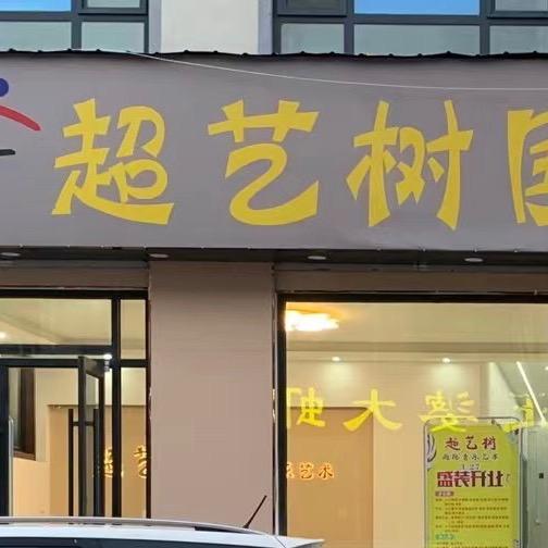 超艺树音乐艺术