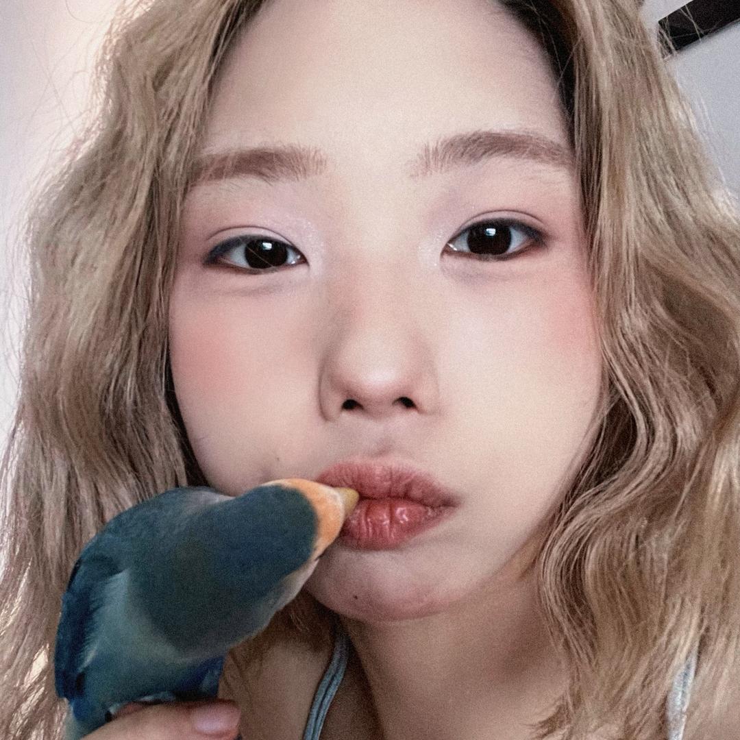 粒粒ya