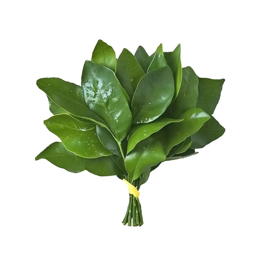 好想睡觉