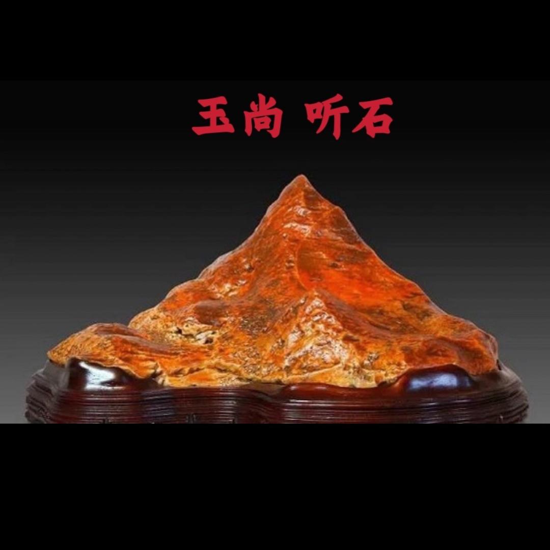 玉尚听石