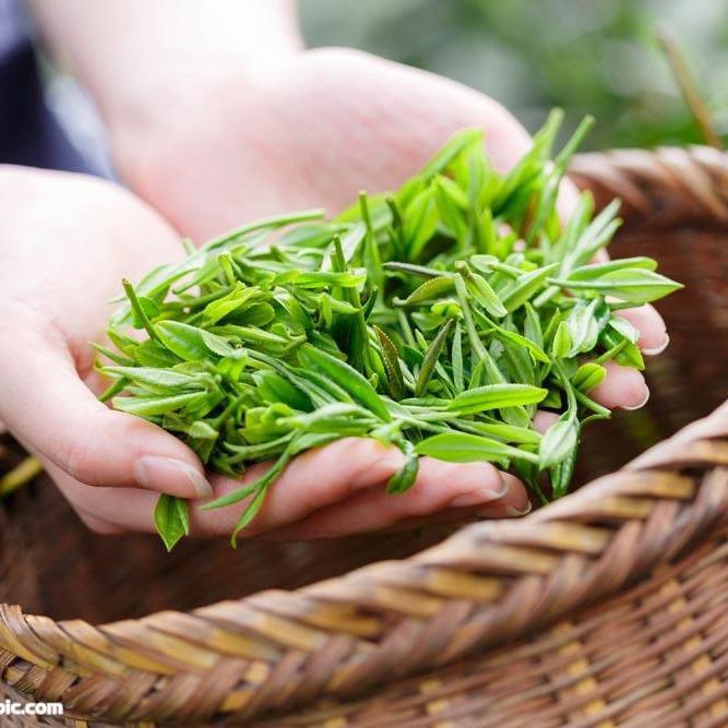宝禾名茶