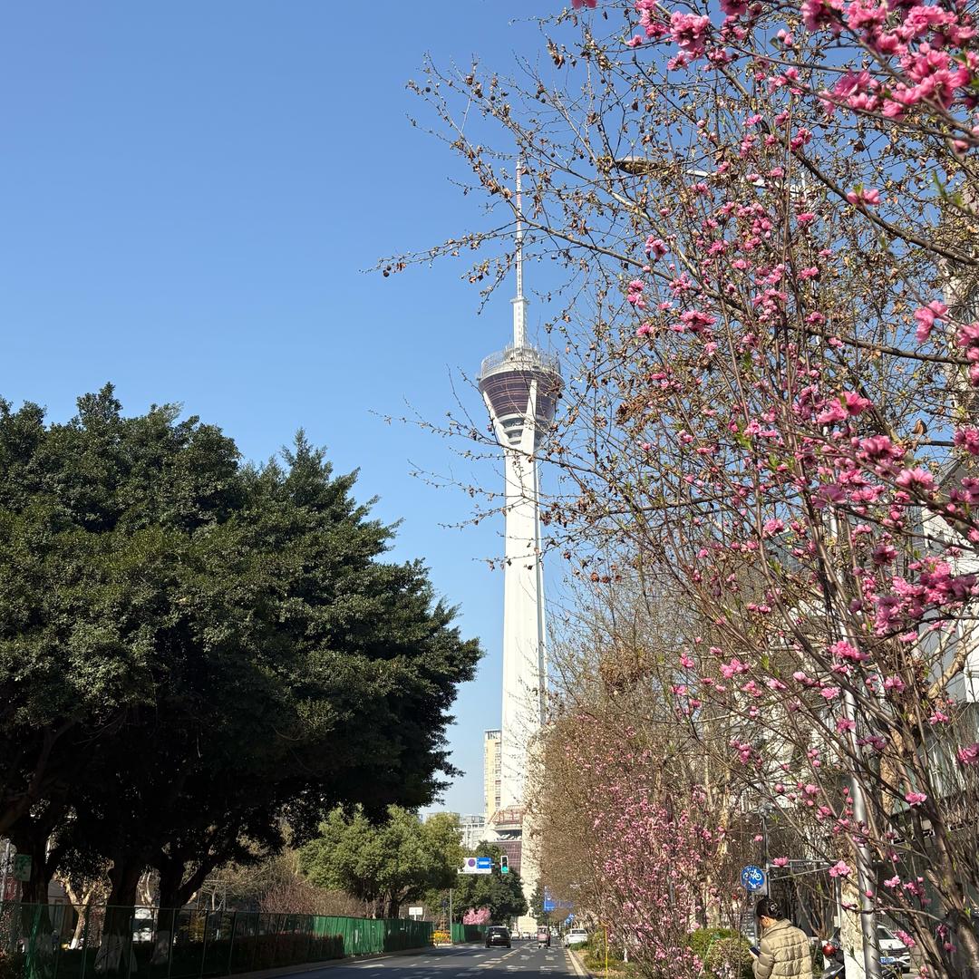 云外生涯小婷