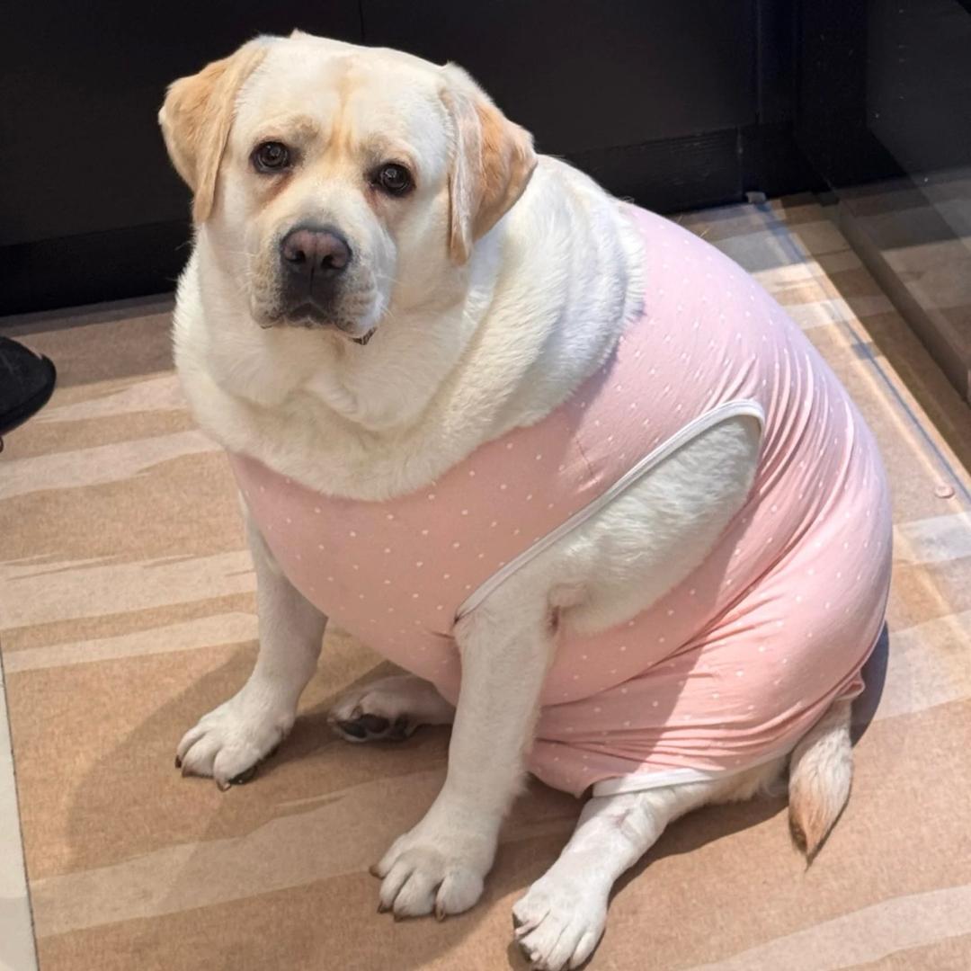 小糖馨优品小铺