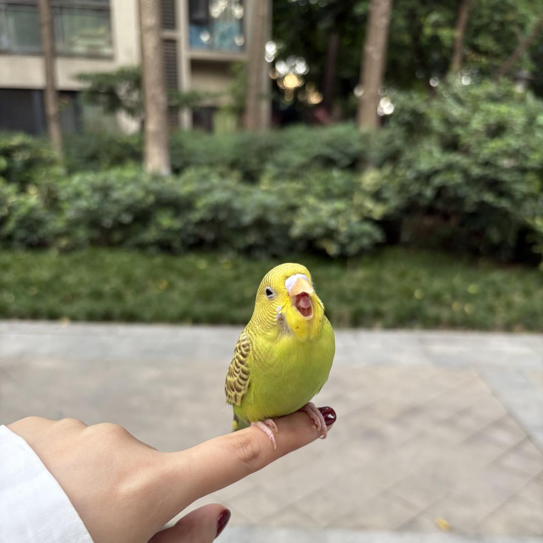 泉州台商投资区翔亨