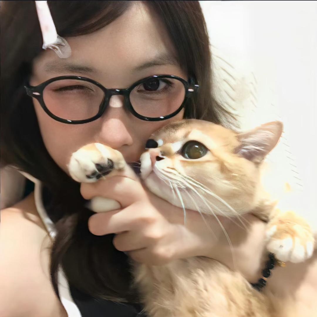 不吃香菜-