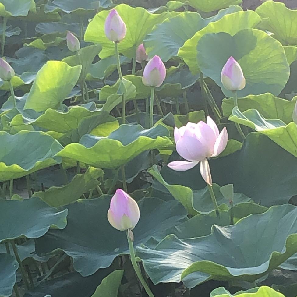 @鑫@
