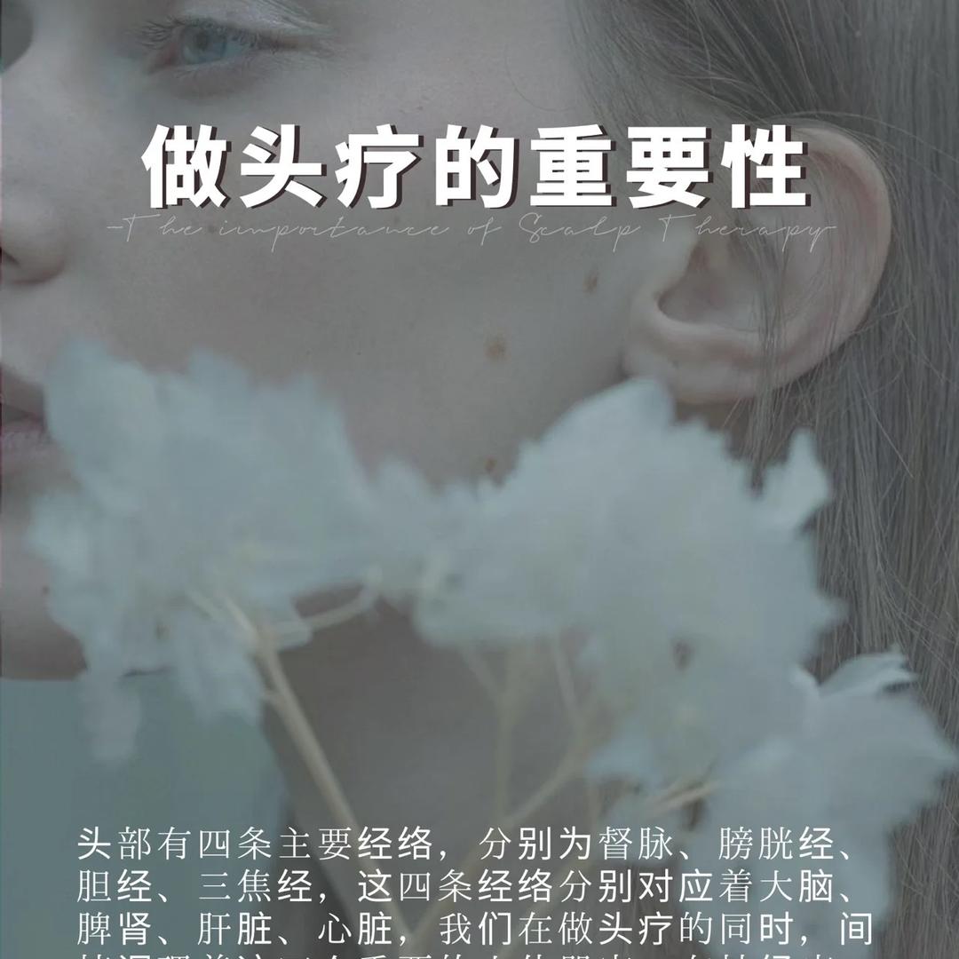 锦尚名仕官方号
