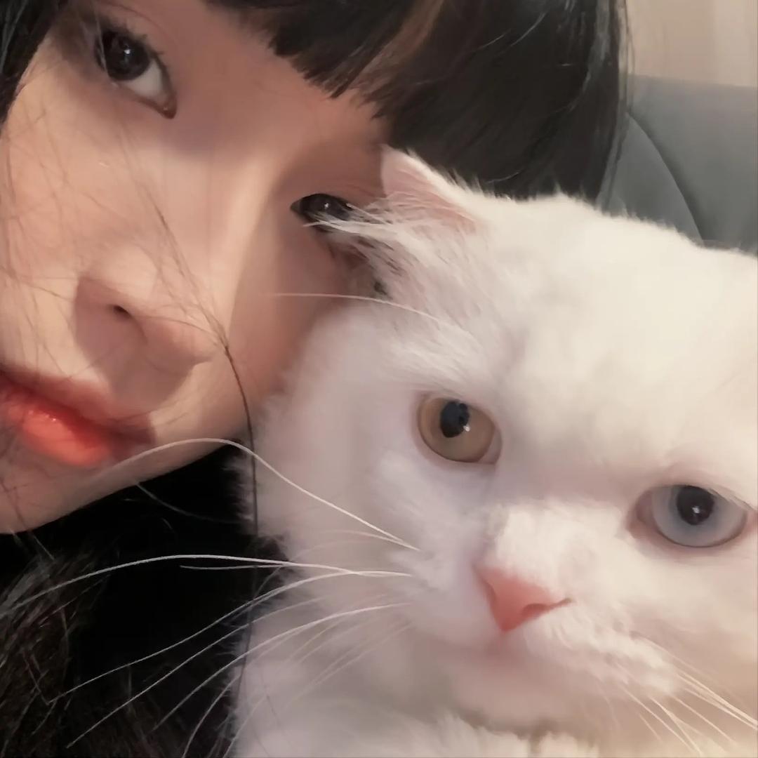 是是静