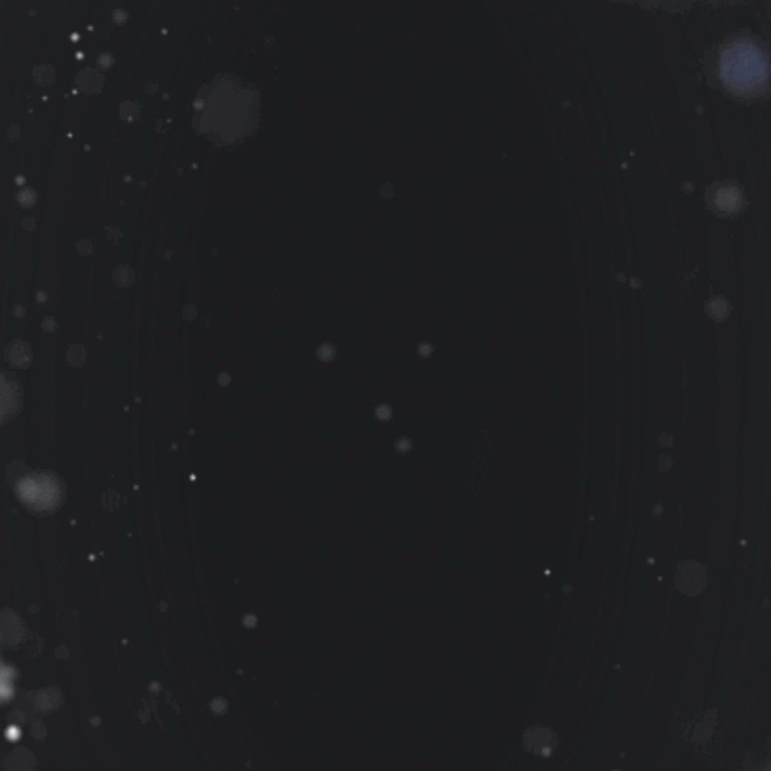 云姐开播（早上7:10开播）