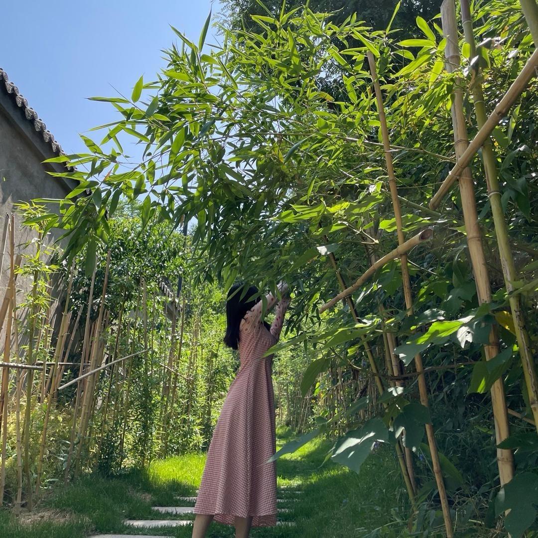 M-我不是脸脸