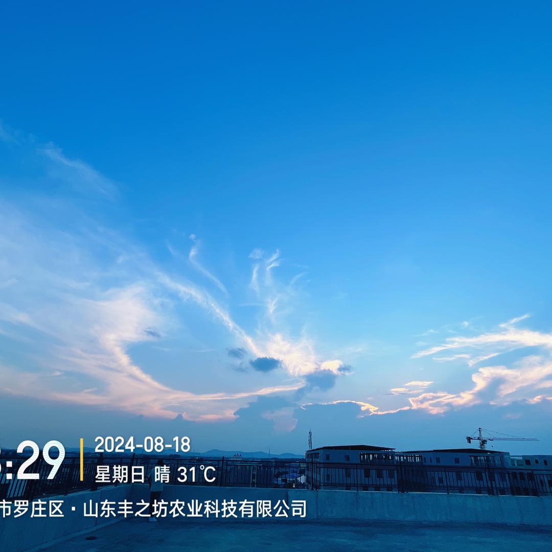 蜜桃