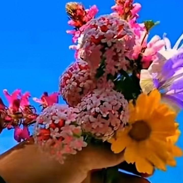难忘的回忆 💍