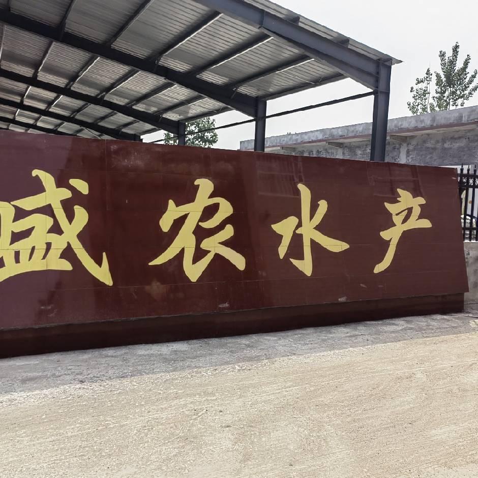 盛农水产微山湖野生鱼源头批发