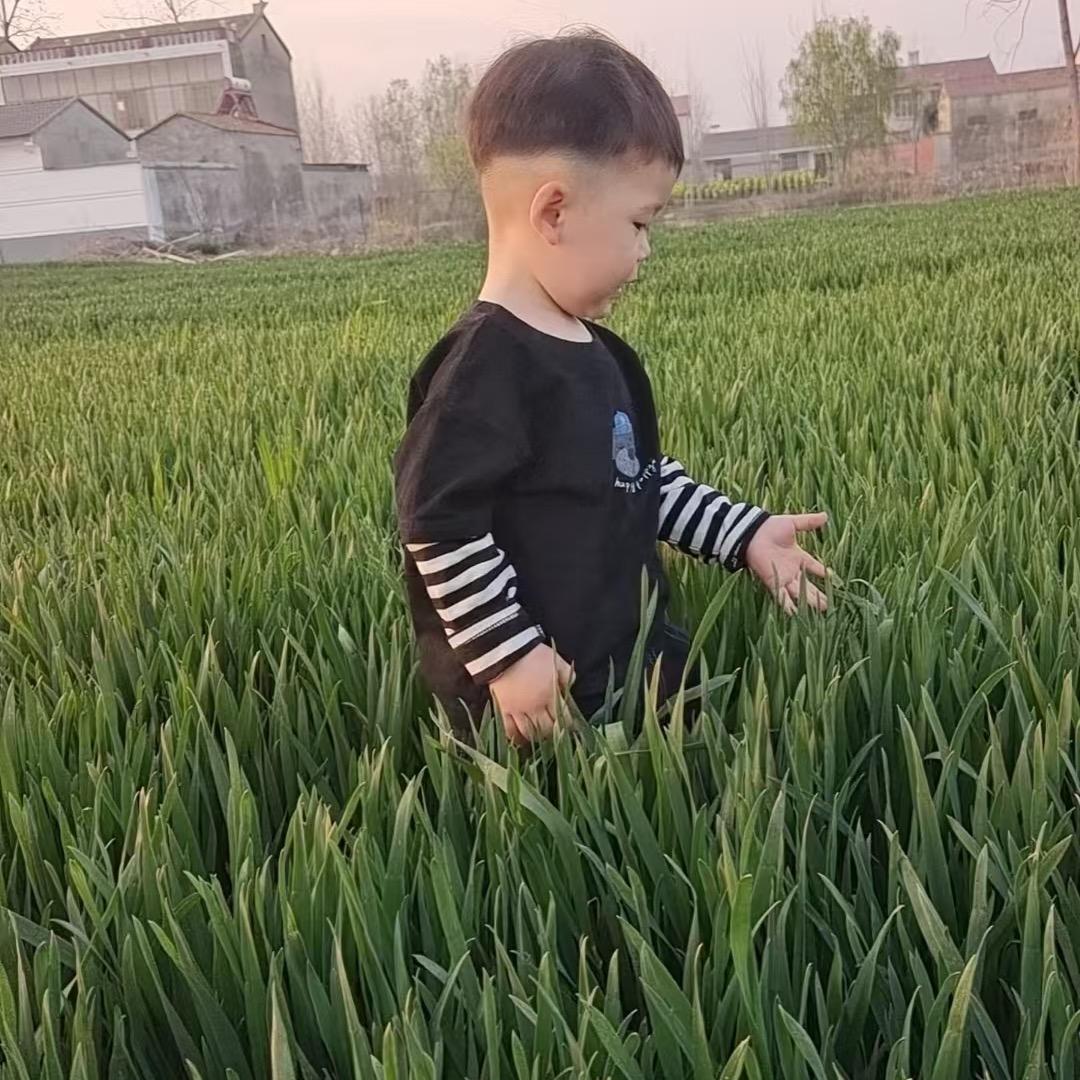 萧县纵氏鹌鹑孵化场