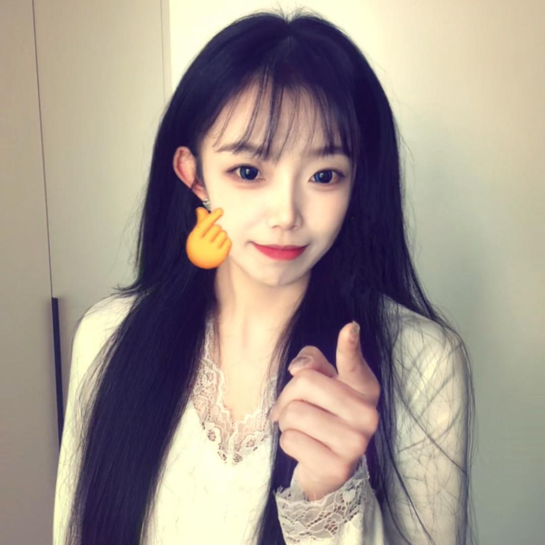 香菜它哥
