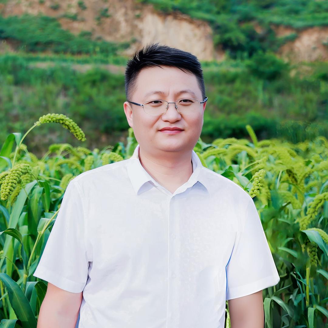 张大彪爱陕北