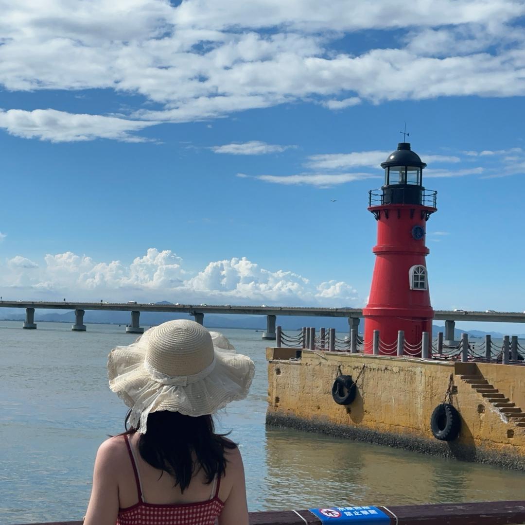 吃土少女小熊猫