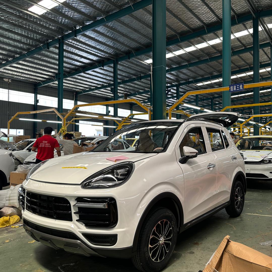 新能源代步车工厂店