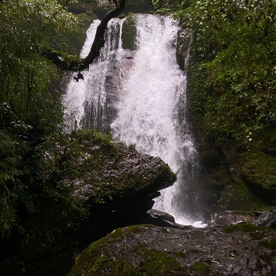 𝔇⃨ℯ𝓁𝓊𝓈𝒾ℴYan