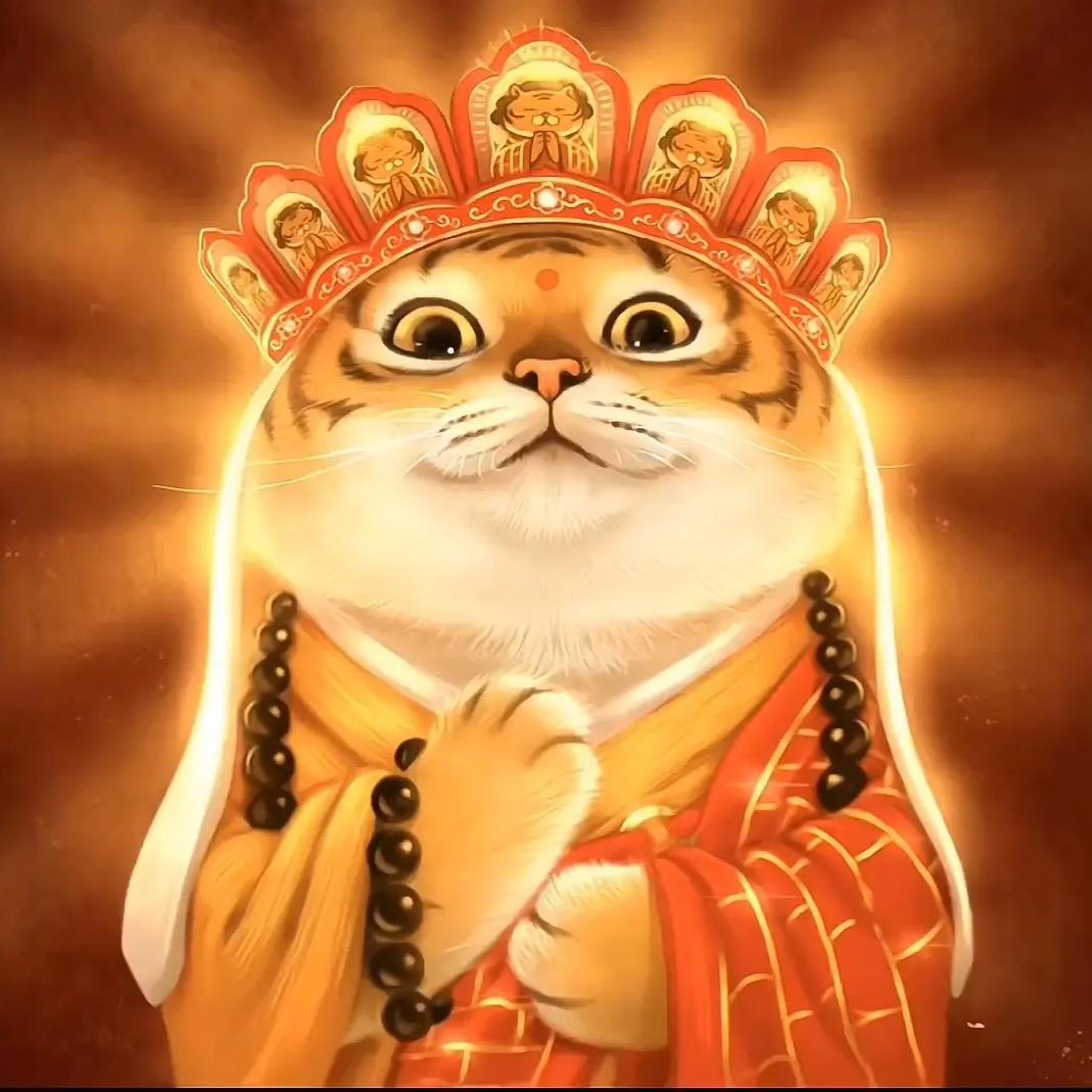 飞天神猫