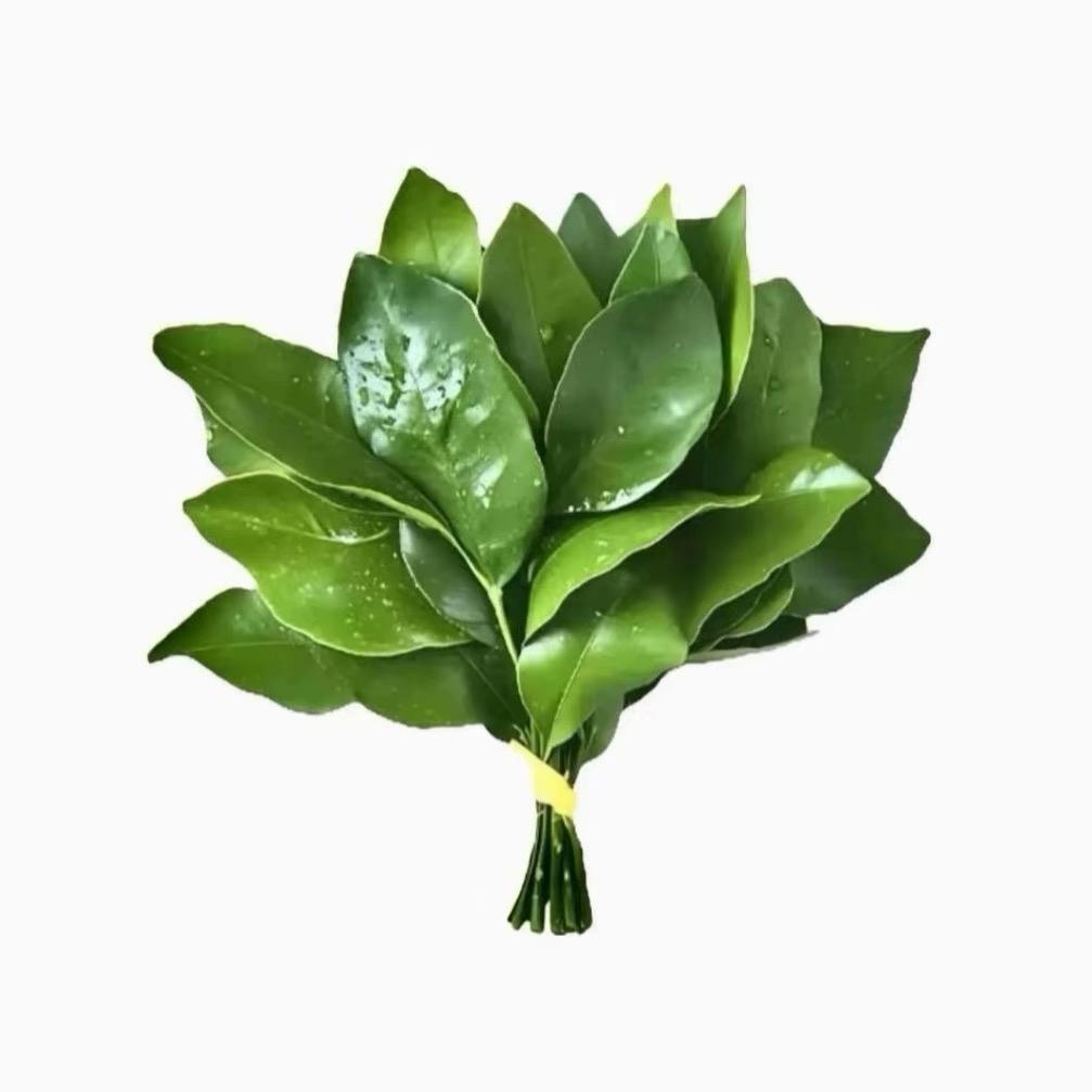 陈思覃天天开心 万事如意 天天发财🤩