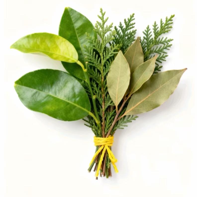 🌈🌈🌈＊cicilili