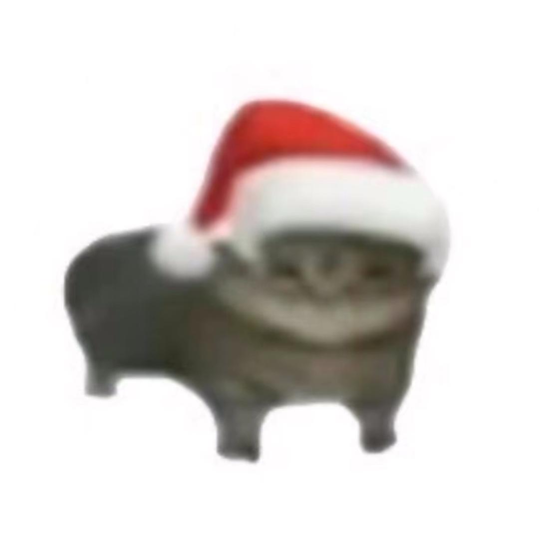 -00
