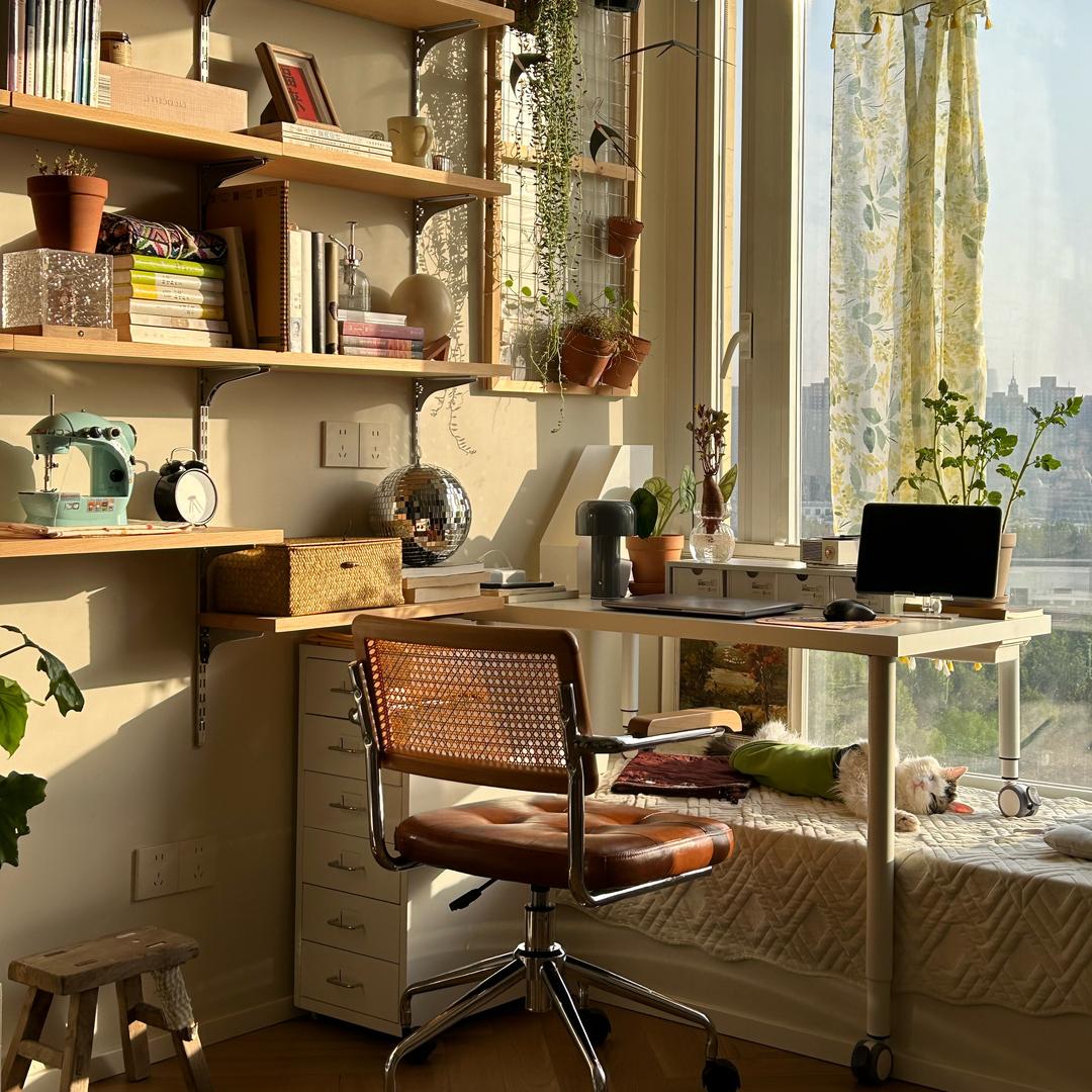 Susu的小屋