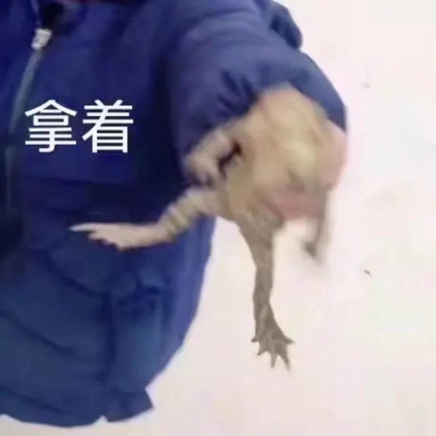 ——未知