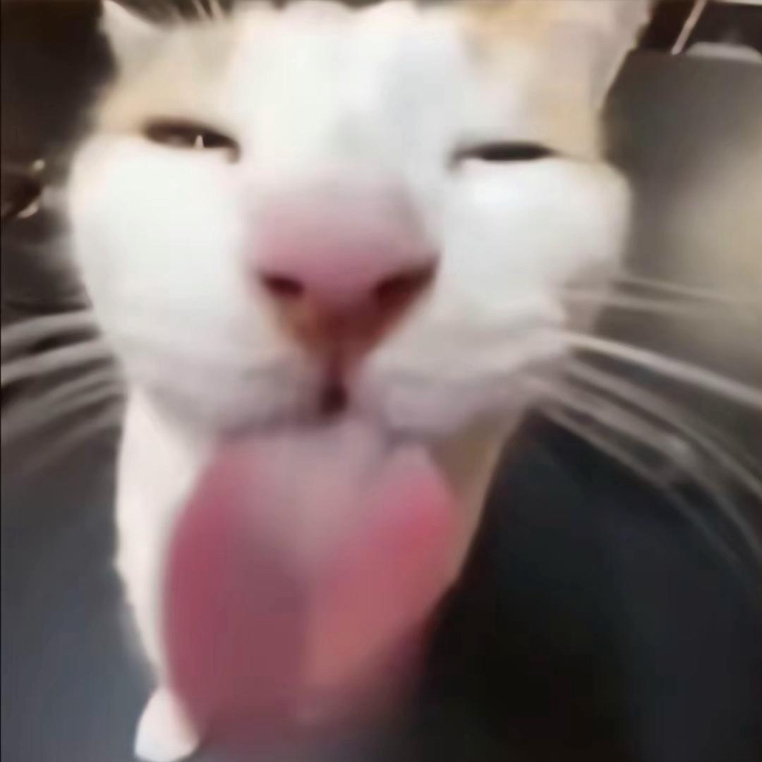 栗子头