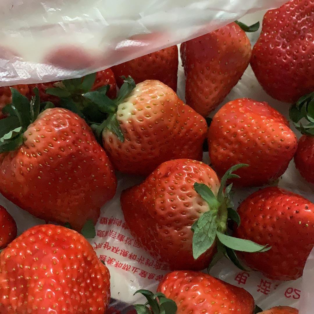 糖果儿🍬