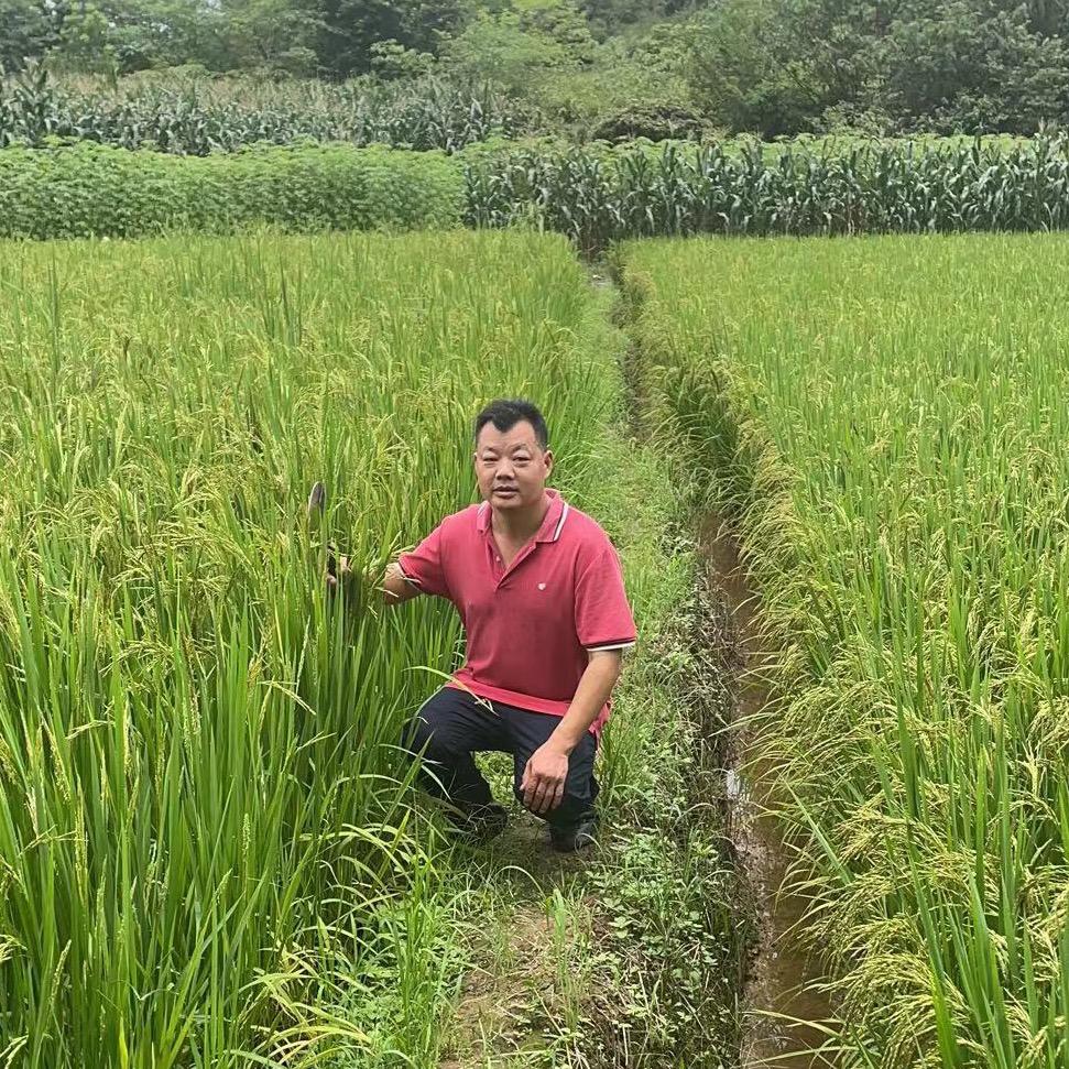 味康（不定時开播）