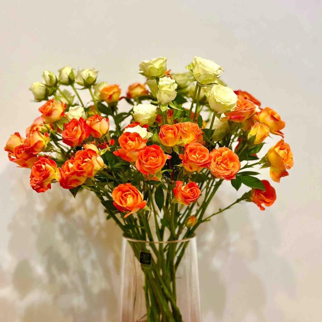 玩毛线的小沐🍀