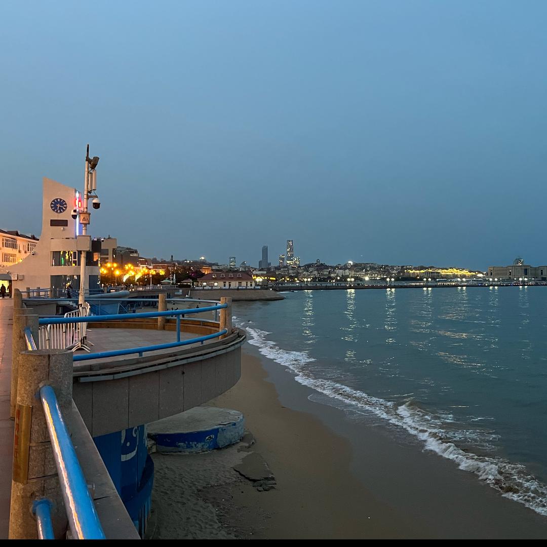 星期二的🐷先生