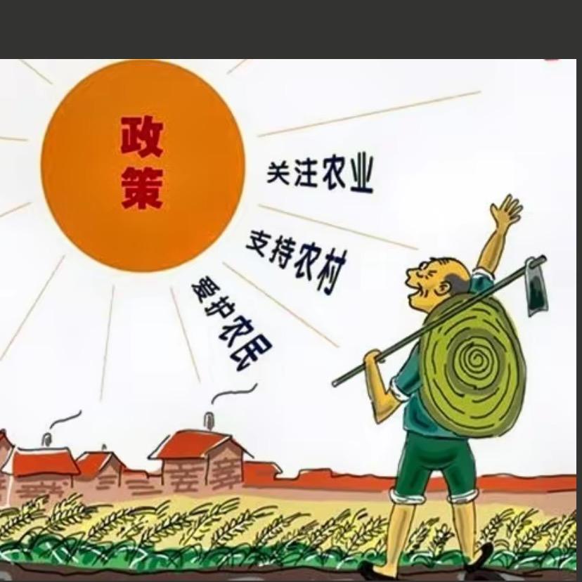 风干鸡粪厂（厂家直销）