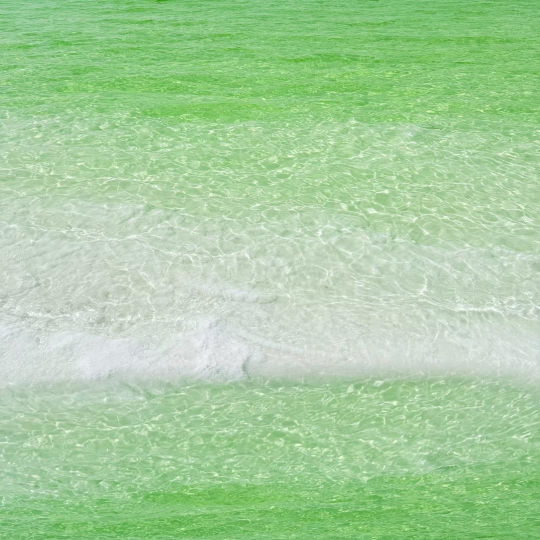 三斤不吃葱（勇闯带货版）