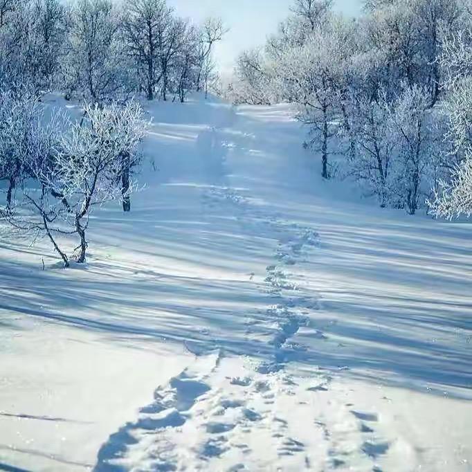 踏雪青云