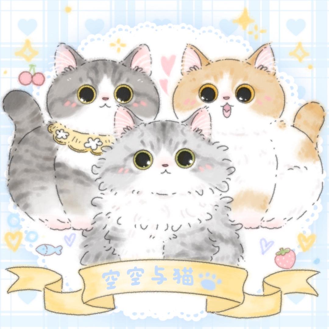 空空与猫🐱