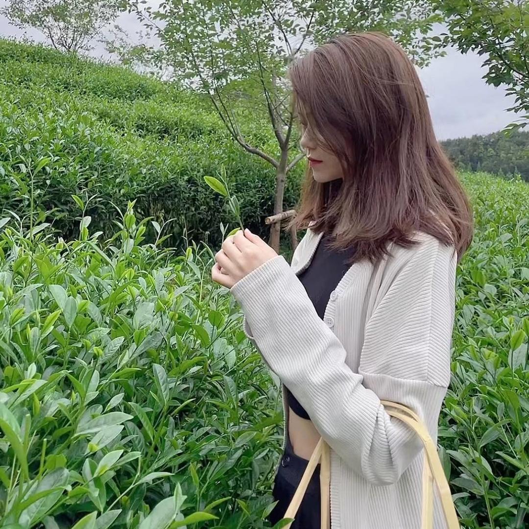 茶仓二小姐