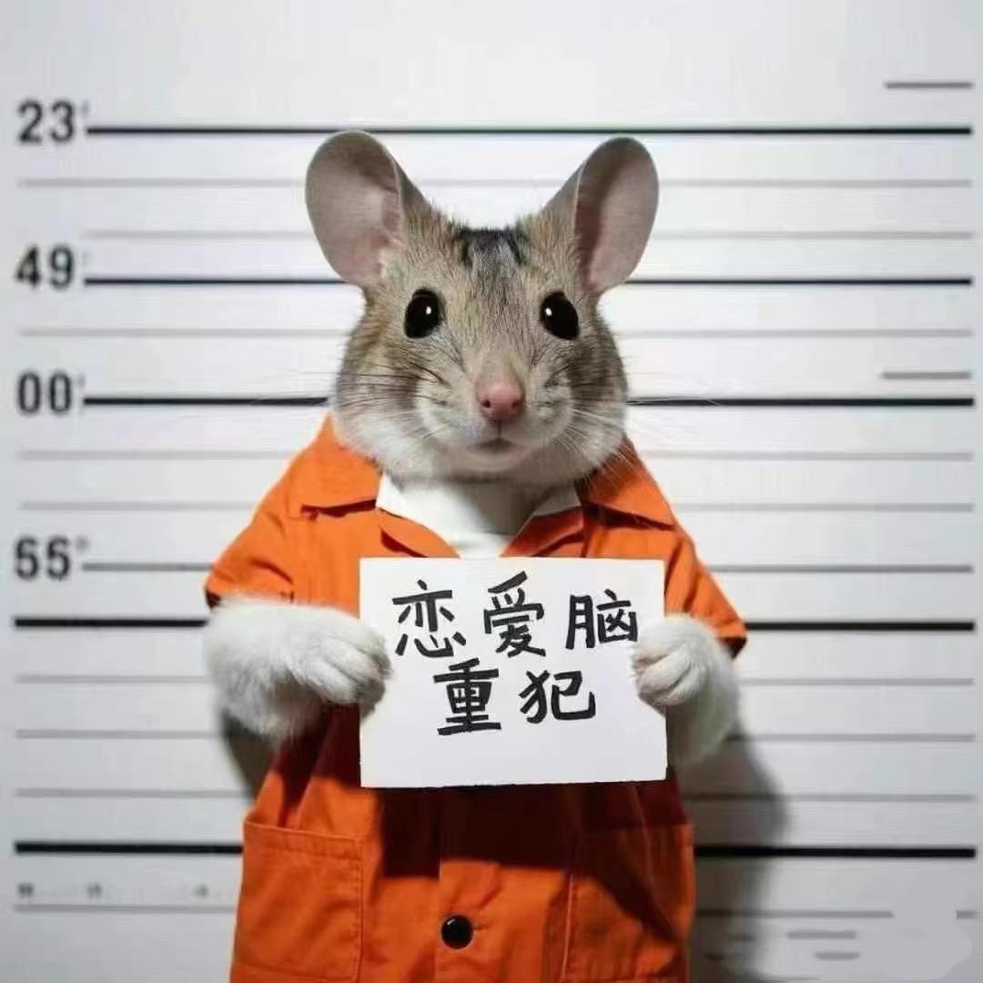 锦垚
