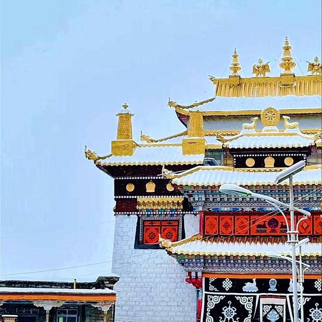 ༼ལྷ་རྩེ།拉孜摄影记录📝📷༽